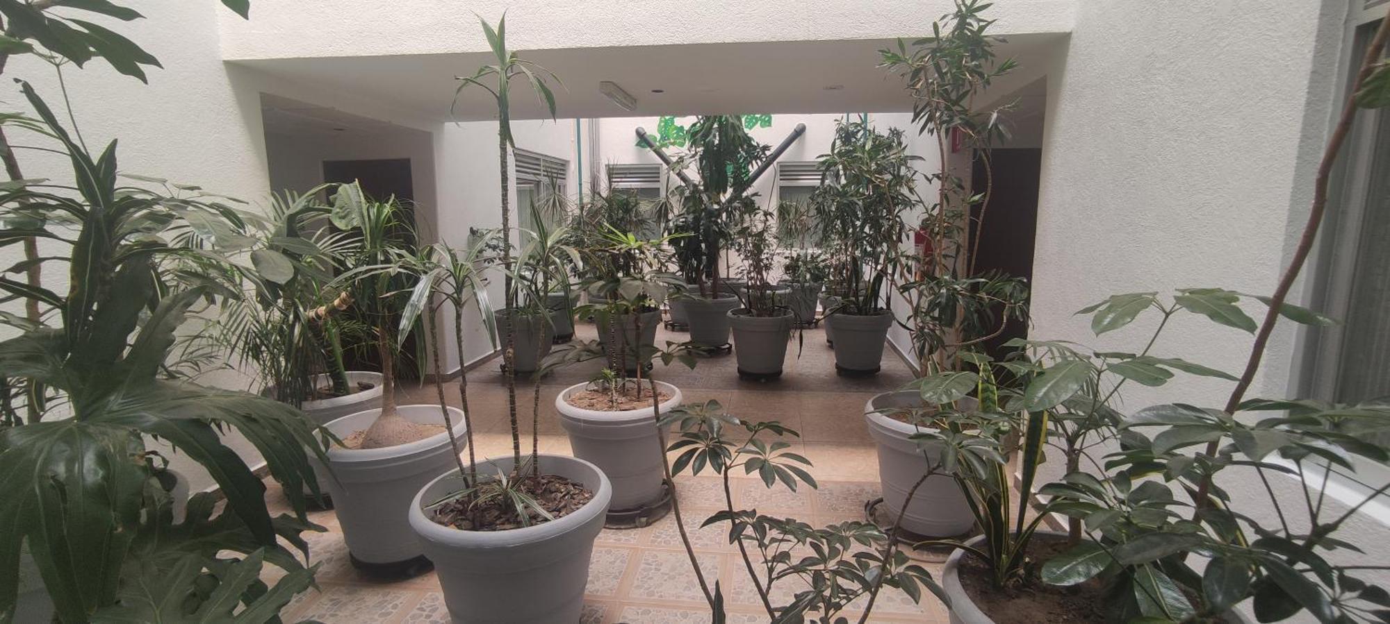 Hotel Habana Kota Meksiko Bagian luar foto